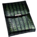 Taschenapotheke für 60 Glasröhrchen grün