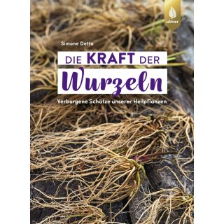Die Kraft der Wurzeln