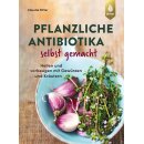 Pflanzliche Antibiotika selbst gemacht