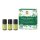 Primavera  Set Duftende Waldkraft  3 x 5 ml