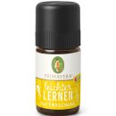 Primavera Duftmischung Leichter Lernen 5ml