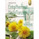 Entgiften mit Heilpflanzen