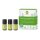Primavera Set Duftende Hausapotheke  3 x 5 ml